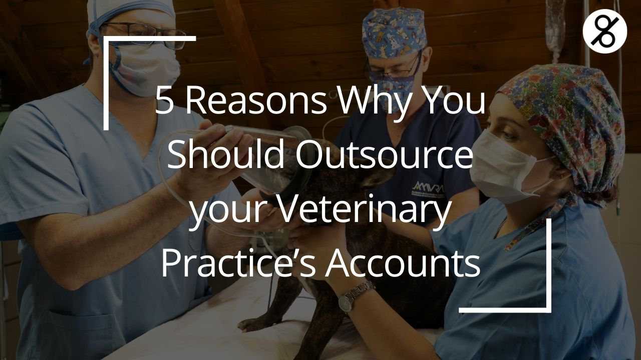 5 Reasons Why You Should Outsource your Veterinary Practice’s Accounts